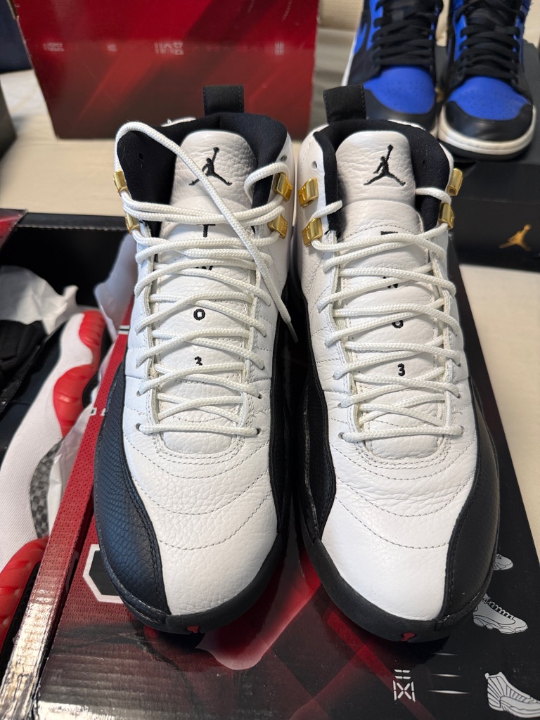 Jordan Retro 12’s “ Taxi’s”